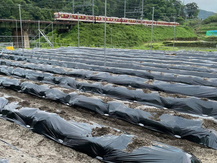 生産者のこだわり