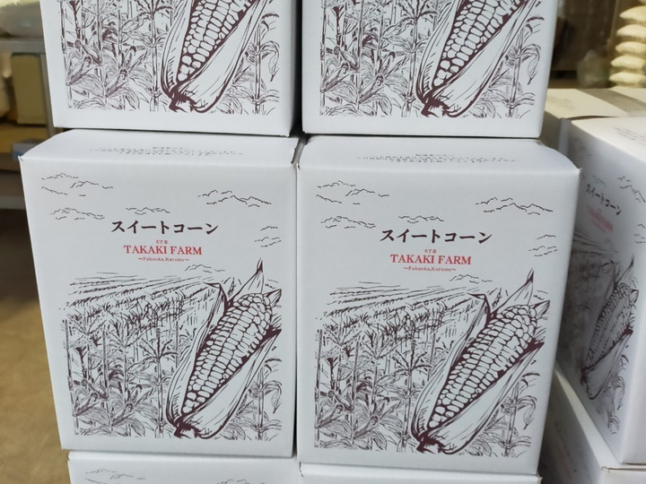 専用段ボール