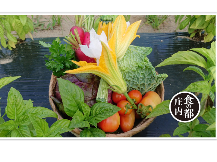 生産者のこだわり