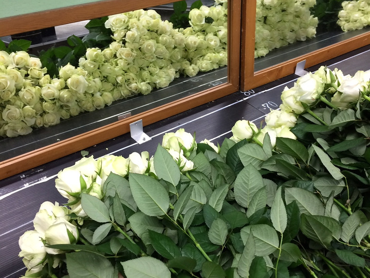 生産者のこだわり