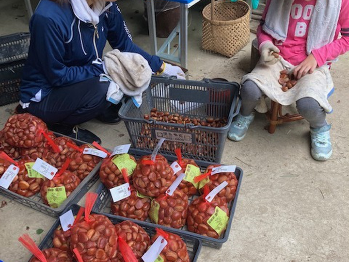 生産者のこだわり