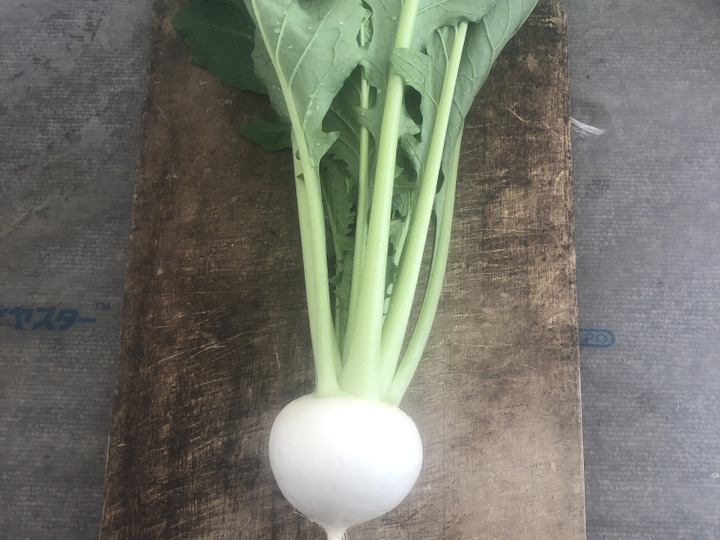 美しい野菜はおしいく、身体にも良い