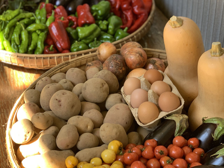 肥料農薬不使用】自然栽培じゃがいも（タワラマゼラン、グラウンド