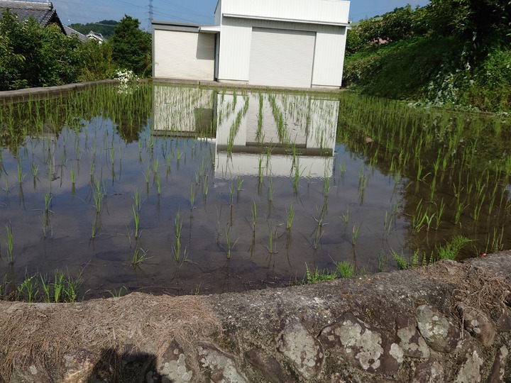 生産者のこだわり