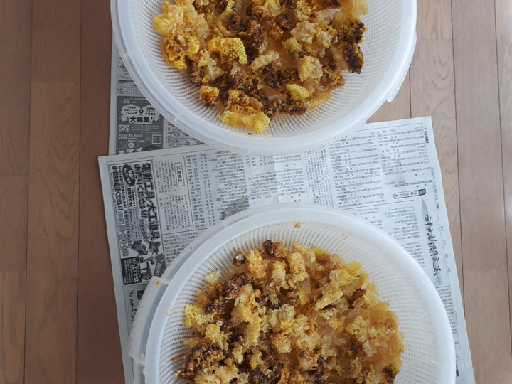 伝えたい味】自然入居🐝ニホンミツバチの天然はちみつ（非加熱