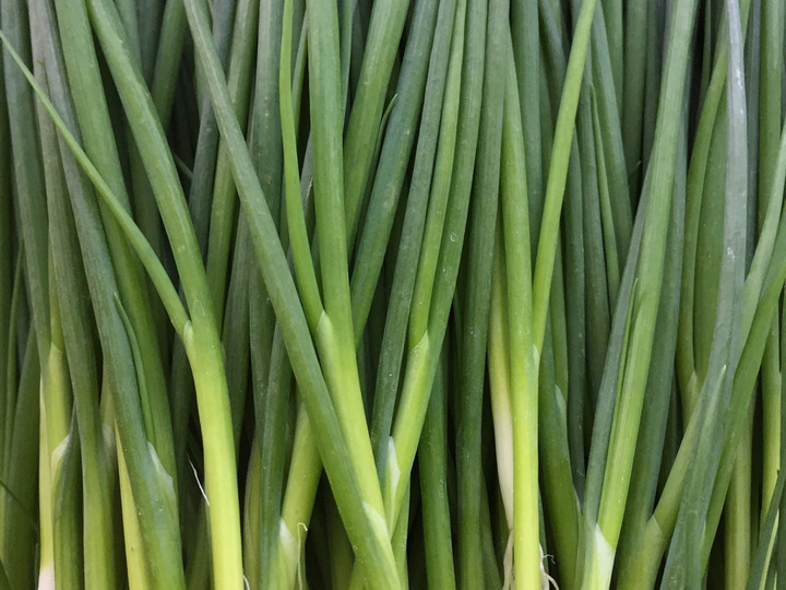 基本をしっかり　土づくりをまじめに　パートナーさんと一緒に知恵を絞って野菜作り　