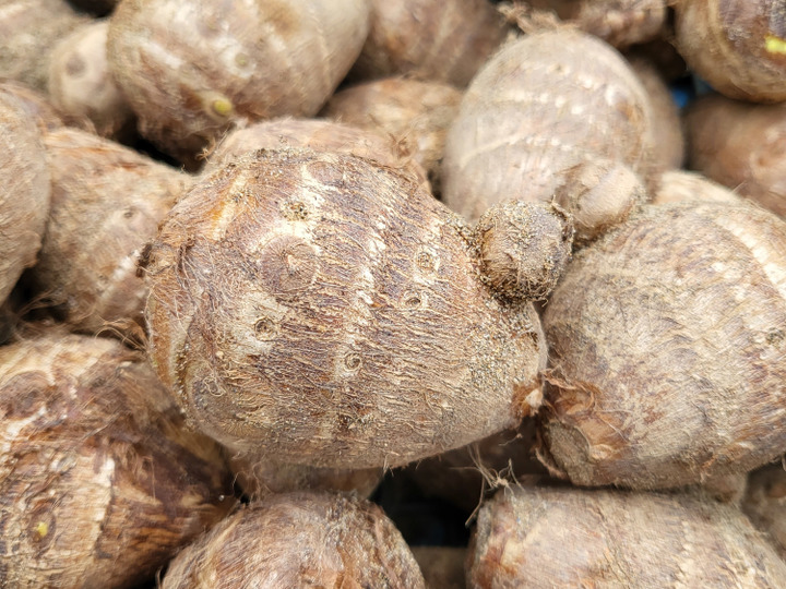 生産者のこだわり