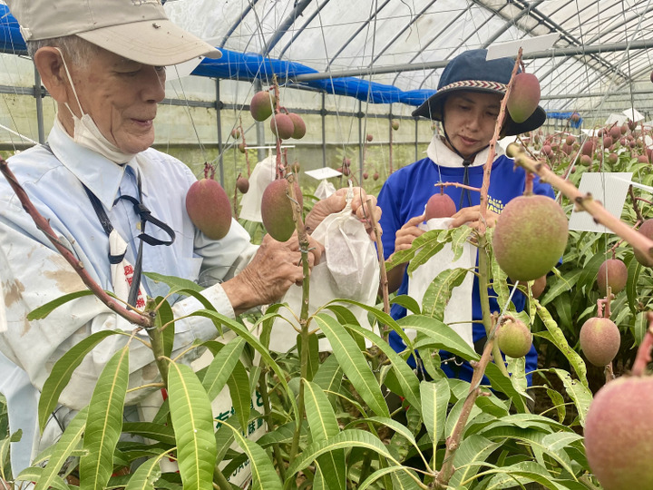 生産者のこだわり