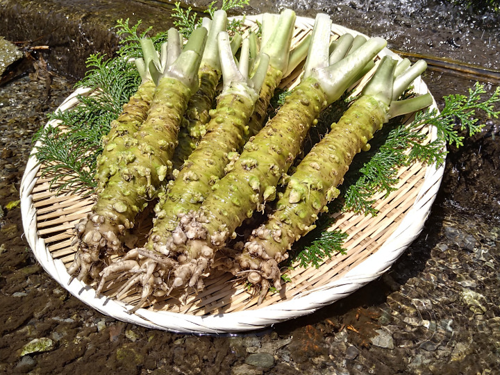 生産者のこだわり