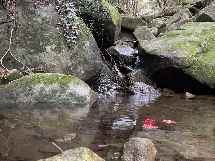 生産者のこだわり