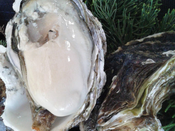 生産者のこだわり