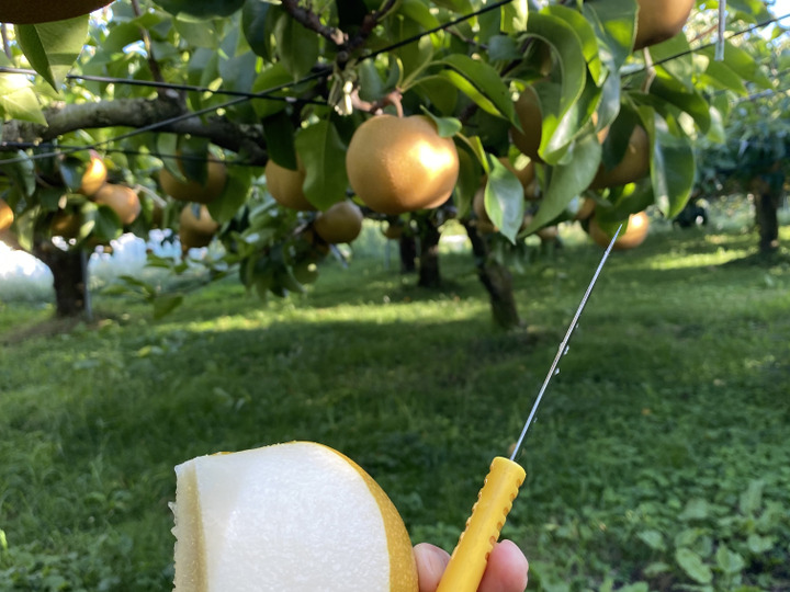 生産者のこだわり