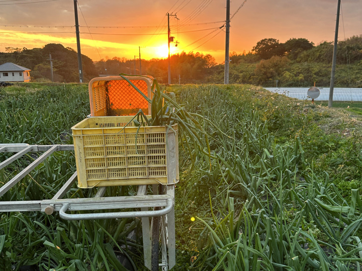 生産者のこだわり