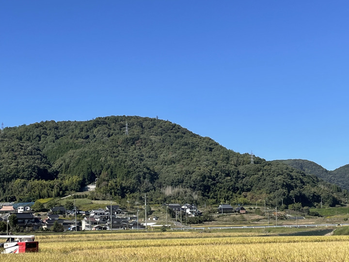生産者のこだわり