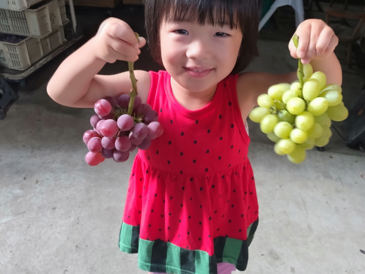 生産者のこだわり