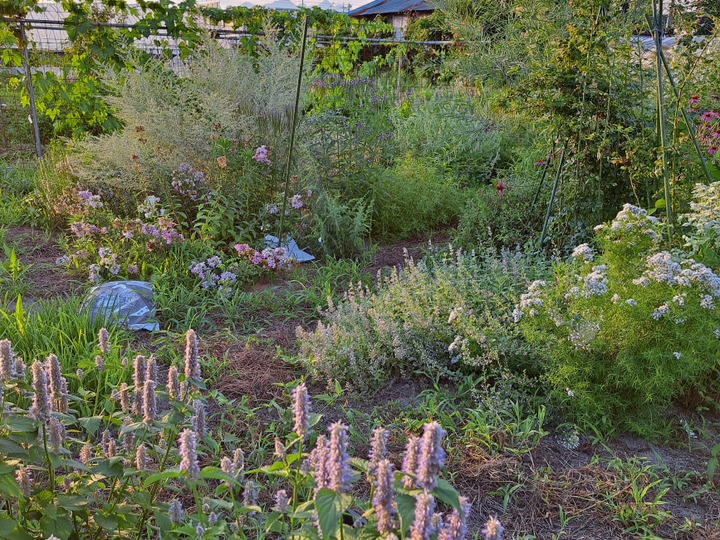 人にも環境優しい畑