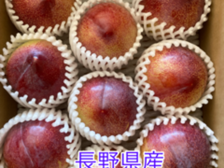 希少品種 長野県産プラム（すもも）「秋さやか」 甘さ・香り・味・酸味