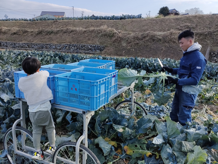 生産者のこだわり