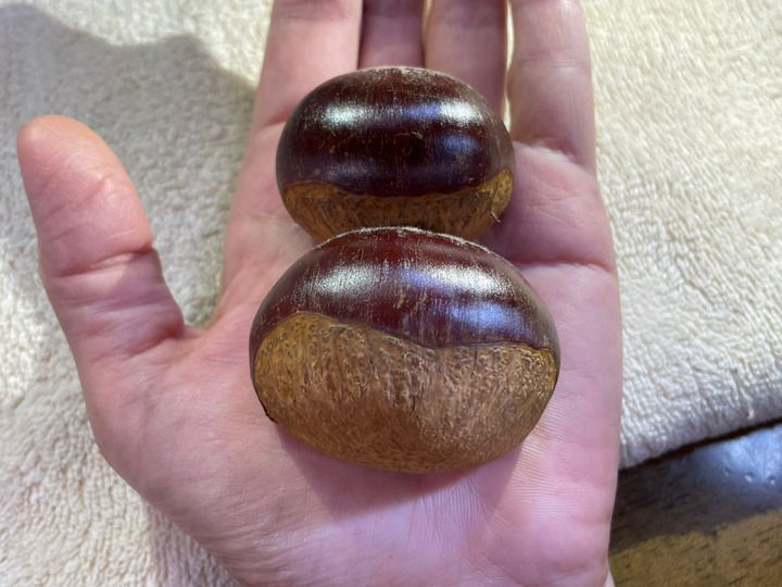 収穫後の御礼肥(牛糞)