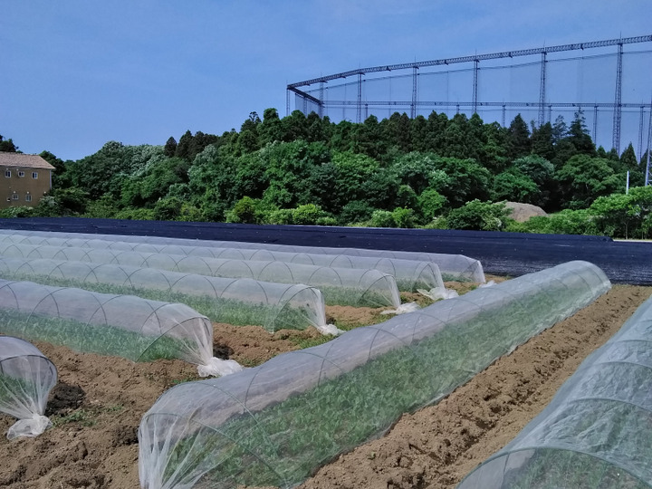 生産者のこだわり