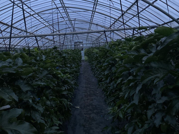 生産者のこだわり