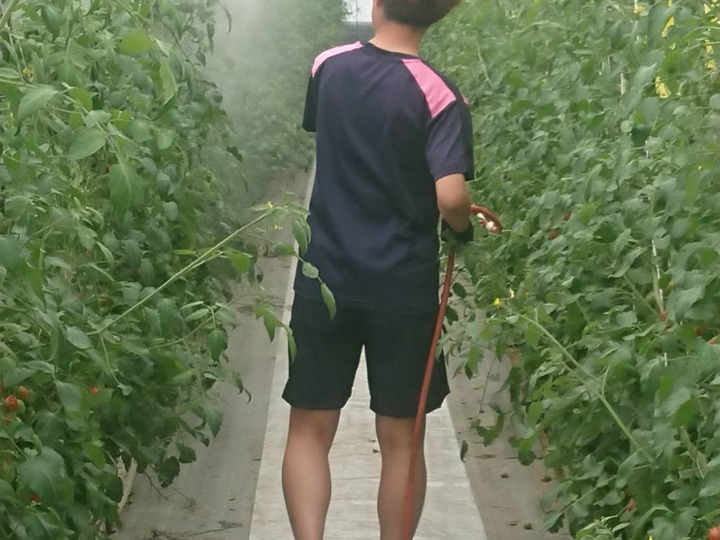 甘さ