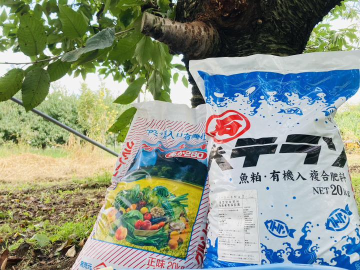 CocoRo♡farm 大玉高級!ワッサーのような桃（美郷）4kg CocoRo♡farm 大玉高級!ワッサーのような桃（美郷）4kg - メルカリ