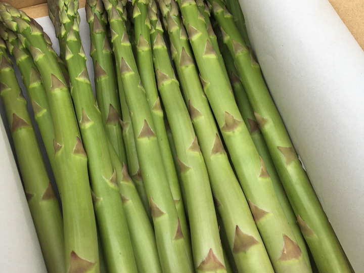 秋田県産 春の絶品アスパラ2キロ 2L-3L：秋田県産の野菜｜食べ
