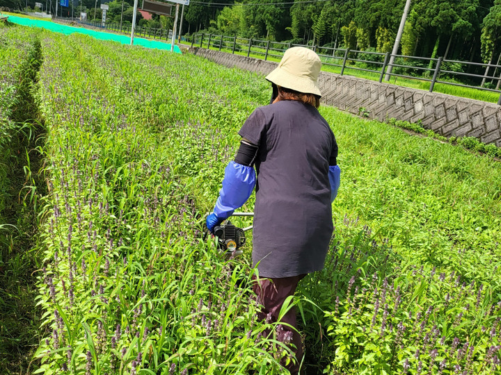 生産者のこだわり