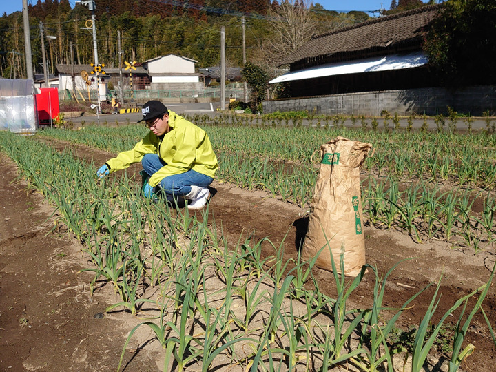 生産者のこだわり