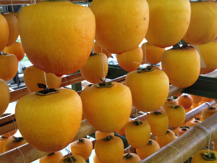 数量限定】福蜜柿2L（6個入,450g）：富山県産の果物｜食べチョク｜産地