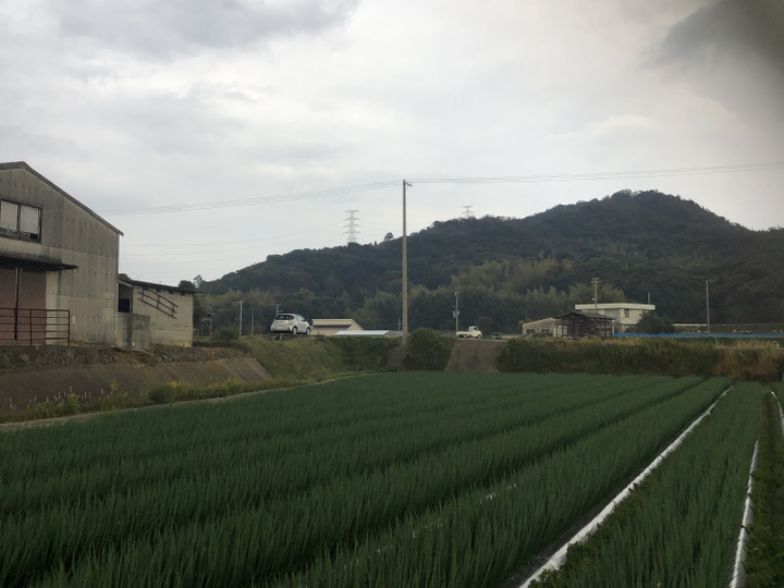 生産者のこだわり