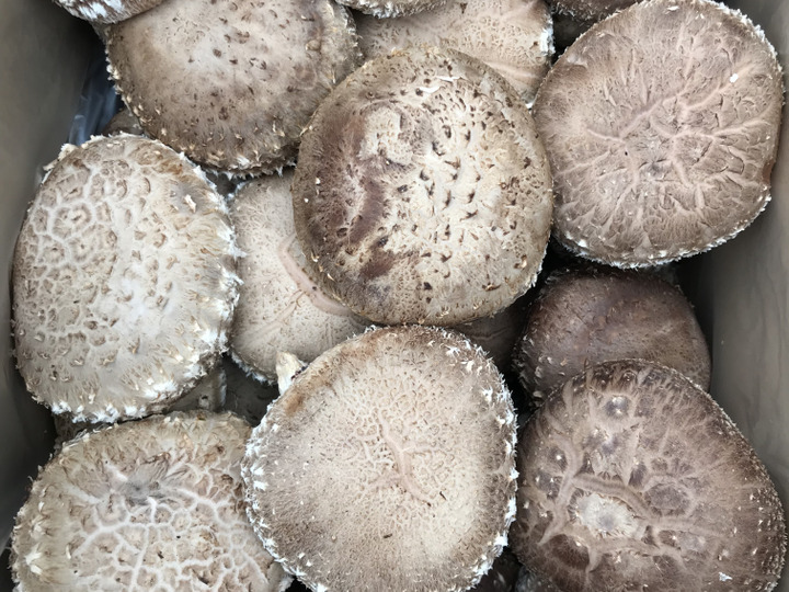 生産者のこだわり