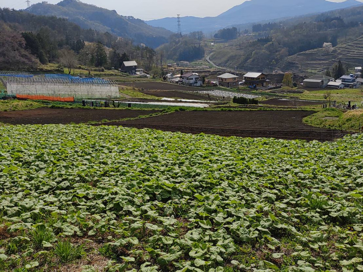 生産者のこだわり