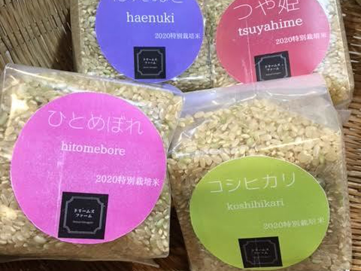 美味しいお米。質の良い有機肥料にこだわりました