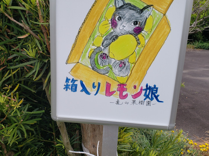 生産者のこだわり