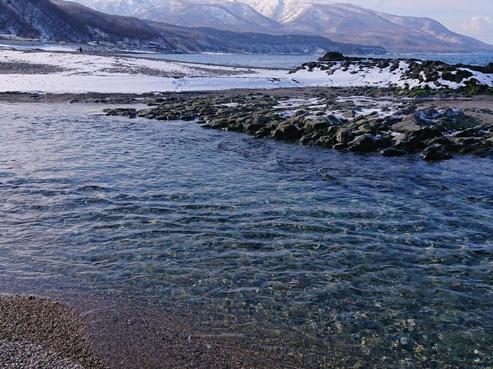 北海道の海と山の恵みを活かして育てている【潮風のトマト】