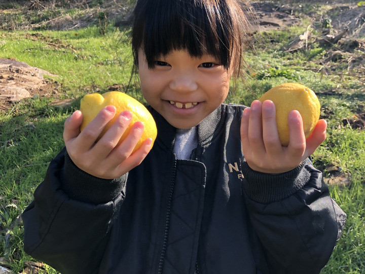 お子様にも安全・安心を!