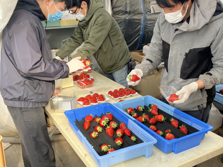 生産者のこだわり