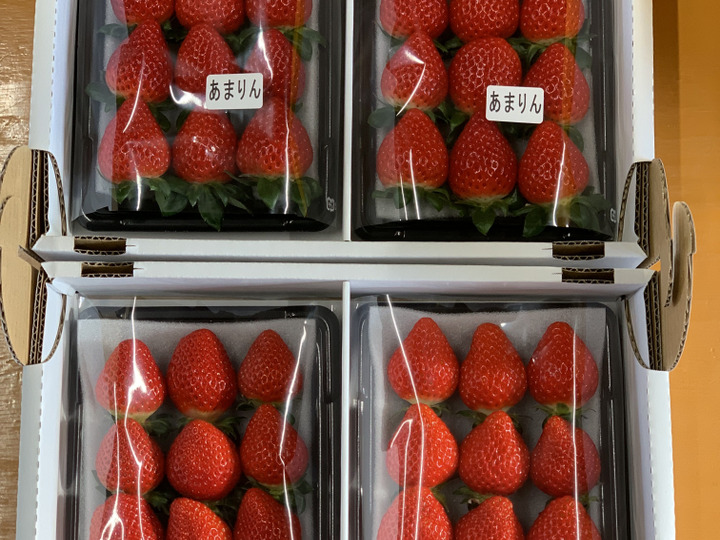 あまりん・かおりん・べにたま】食べ比べ4パック(1Kg)🍓：埼玉県産の