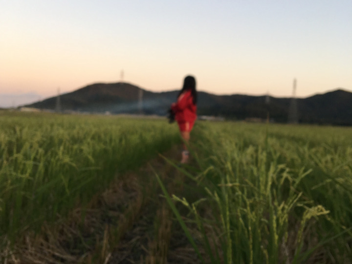 子どもと農作業