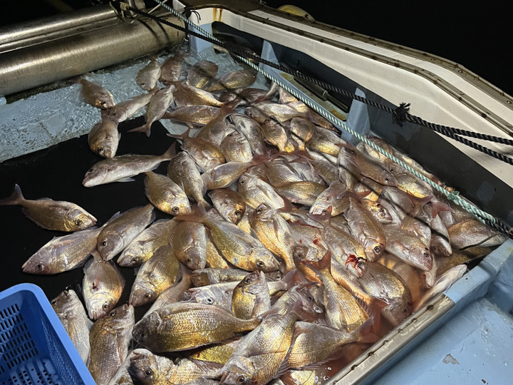 生産者のこだわり