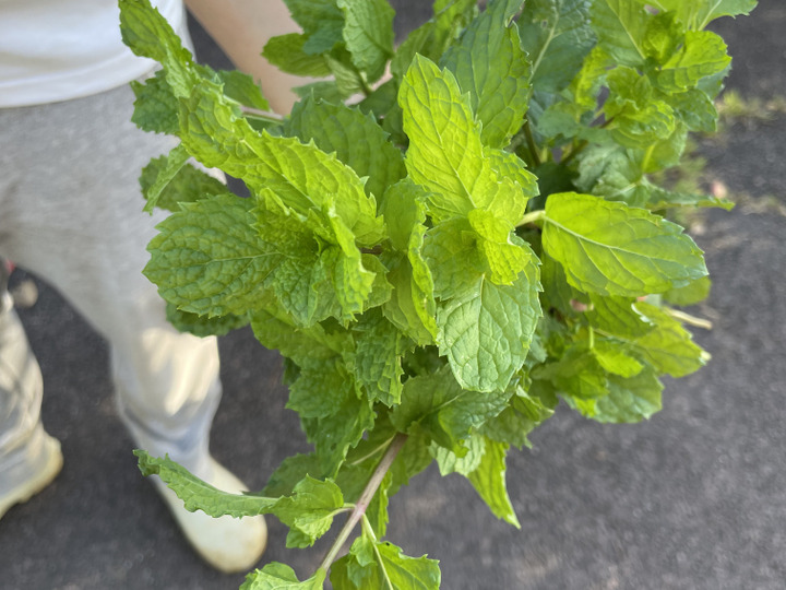 生産者のこだわり