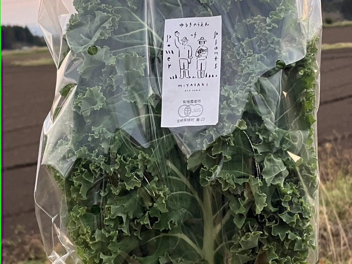 生産者のこだわり
