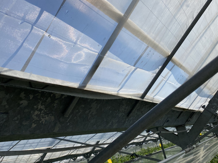 美味しい農産物だけを販売