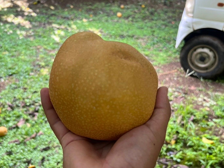 生産者のこだわり