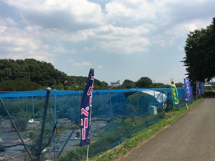 自然を楽しむ体験農園