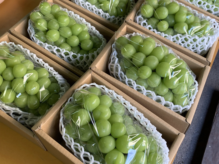 生産者のこだわり