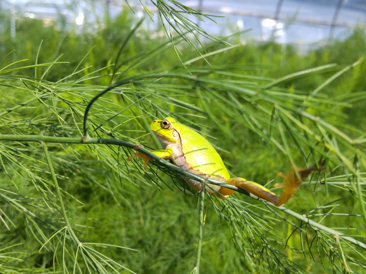 生産者のこだわり