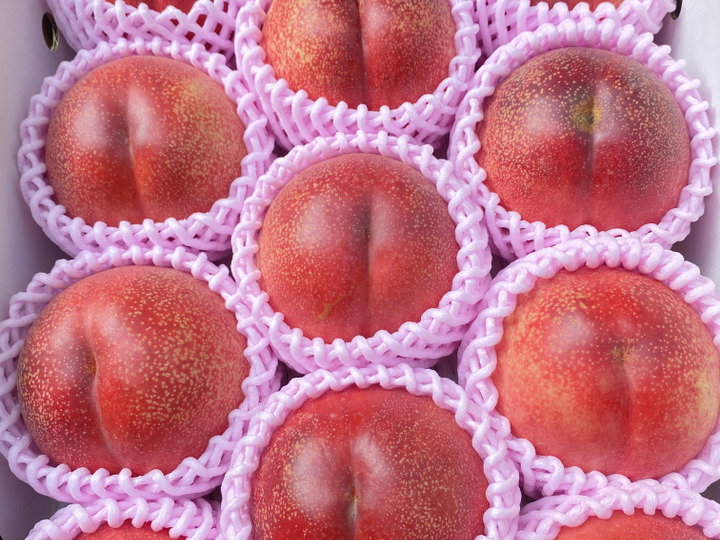 生産者のこだわり